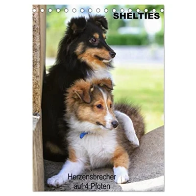 Abbildung von SHELTIES Herzensbrecher auf 4 Pfoten (Tischkalender 2025 DIN A5 hoch), CALVENDO Monatskalender