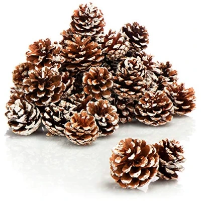 Abbildung von com four® 30x Tannenzapfen weiße Spitze Pinienzapfen als Weihnachtsdekoration Zapfendeko Streudeko Bastelset Weihnachtsschmuck (30 Stück Spitze)