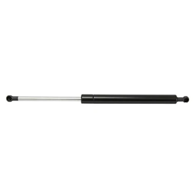 Abbildung von MAPCO 91124 Heckklappendämpfer 190 403 RENAULT: Scénic 1