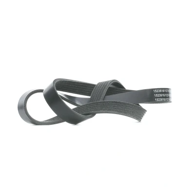 Abbildung von RIDEX 305P0393 Keilrippenriemen 1255 6 EPDM (Ethylen Propylen Dien Kautschuk) HYUNDAI: i30 I Kombi, ix35, II KIA: Soul