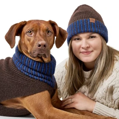 Abbildung von Hundepullover Odense 60 mit Mütze (Set), braun/blau Braun / Blau