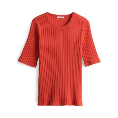 Abbildung von OPUS Kurzarm Savka Tshirt basic, Damen, Größe: 36, Sweet red