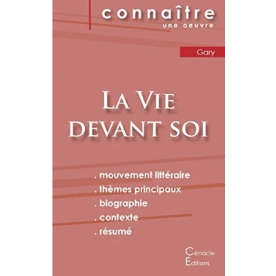 Abbildung von Fiche de lecture La Vie devant soi Romain Gary (Analyse littéraire référence et résumé complet)