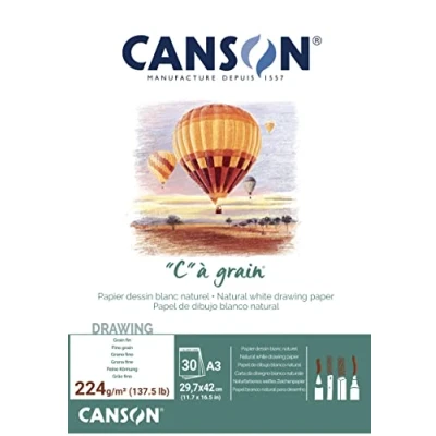 Abbildung von Canson Pad Càgrain A3 224 g White Skizzenbuch