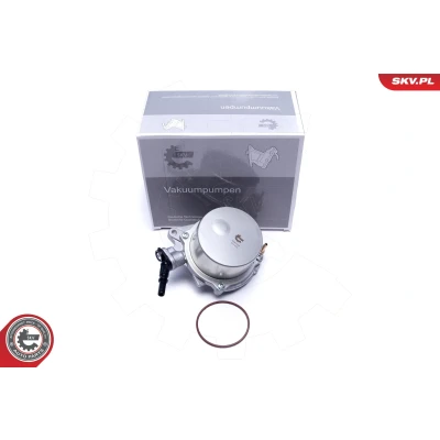 Abbildung von ESEN SKV 18SKV059 Unterdruckpumpe PEUGEOT: 207 Schrägheck, 308 I CC, MINI: Clubman, Cabrio, CITROËN: C4 Picasso 2