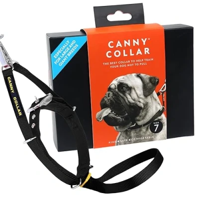 Abbildung von Canny Dog Collar Black Größe 7