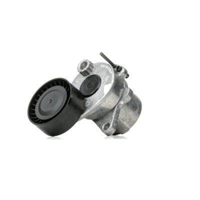 Abbildung von FEBI BILSTEIN 38468 Riemenspanner MERCEDES BENZ: C Klasse T modell, Limousine, E Limousine