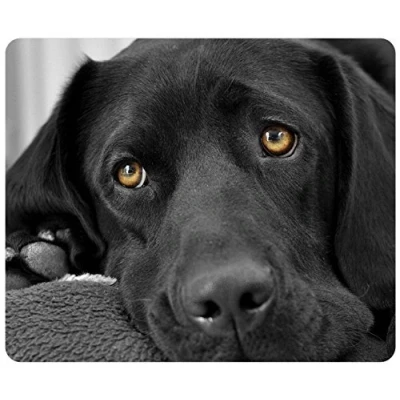 Abbildung von Maßgeschneiderte rechteckige Mousepad, Maus Pads Trauer Schwarze Labrador
