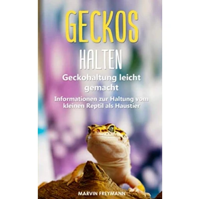 Abbildung von Geckos halten: Geckohaltung leicht gemacht Grundlegende Informationen zur Haltung vom kleinen Reptil als Haustier