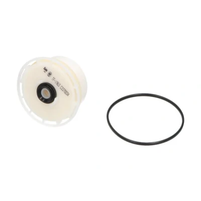 Abbildung von Kraftstofffilter KAVO PARTS TF 1963