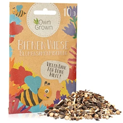 Abbildung von Bienenwiese Blumenmischung: 10g Premium Bienen Saatgut für Bunte Bienenweide, und Hummelmagnet bienenfreundliche Blumensamen Mischung Blumenwiese Samen Geschenk OwnGrown