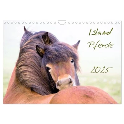 Abbildung von Islandpferde (Wandkalender 2025 DIN A4 quer), CALVENDO Monatskalender