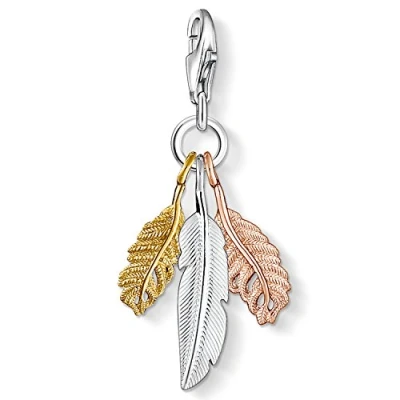 Abbildung von THOMAS SABO Charm Einhänger Federn, 1010 431 12