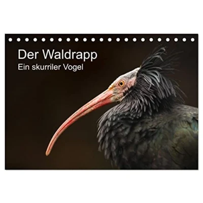 Abbildung von Der Waldrapp Ein skurriler Vogel (Tischkalender 2025 DIN A5 quer), CALVENDO Monatskalender