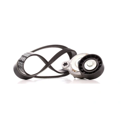 Abbildung von DAYCO KPV279 Keilrippenriemensatz VOLVO: XC60 I, V60 S60 II