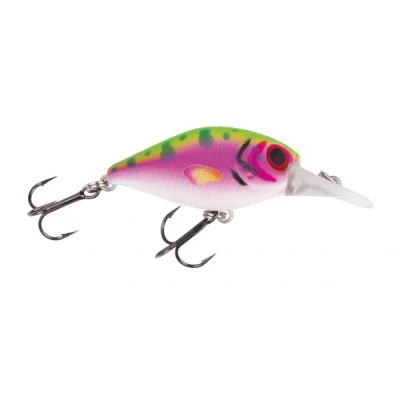Abbildung von Jackson Barschwobbler Rainbow Trout 5,3cm (8g) Wobbler