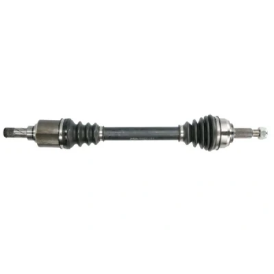 Abbildung von Antriebswelle PASCAL G2R097PC