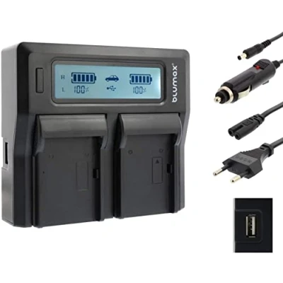 Abbildung von Blumax Doppelladegerät für Sony NP FM500H Akku Dual Charger 2 Akkus gleichzeitig Laden Schnelles ladegerät doppel