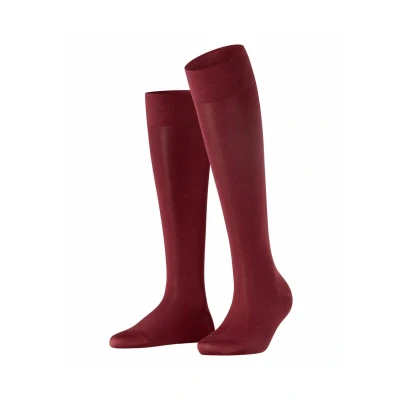 Abbildung von Falke Kniestrümpfe barolo, Damen, Größe: 35 38, Barolo