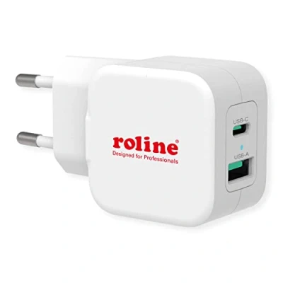 Abbildung von ROLINE USB Charger mit Euro Stecker, 2 Port (Typ A QC3.0, Typ C PD), 20W