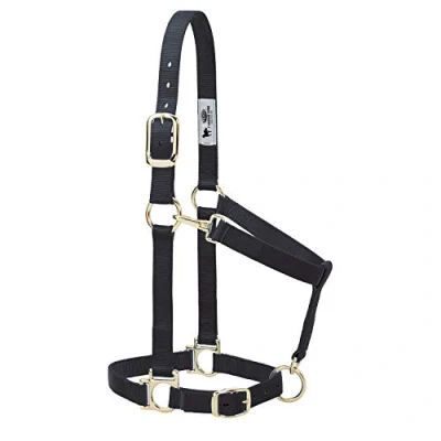 Abbildung von Weaver Leather Basic Halfter aus Nylon, verstellbar, 2,5 cm, Schwarz