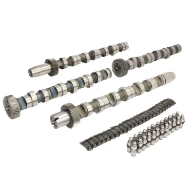 Abbildung von INA 428 0038 30 Nockenwellensatz VOLKSWAGEN: Passat B5 GP Variant, AUDI: A4 B6 Avant