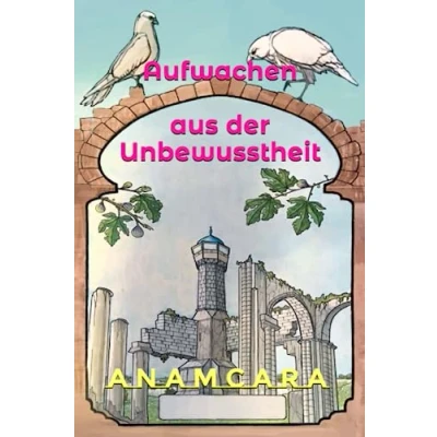 Abbildung von Aufwachen aus der Unbewusstheit (Seelenreise in das Mysterium des Lebens, Band 2)