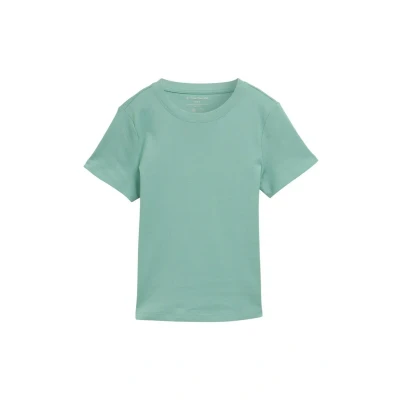 Abbildung von TOM Tailor MIT Rundhalsausschnitt Tshirt basic, Damen, Größe: Small, Faded green