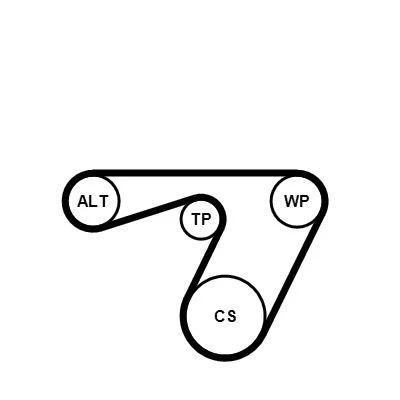 Abbildung von CONTITECH 6PK1180K1 Keilrippenriemensatz OPEL: Astra H Caravan, Corsa C Schrägheck, D FIAT: Grande Punto Qubo