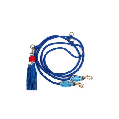 Abbildung von DWAM Leine Dutchi S Blau Rot für Welpen alle Hunde Lederleine 3 fach verstellbar Handarbeit Boho liebevolle Details