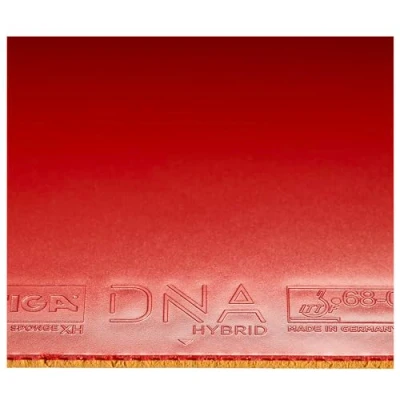 Abbildung von Tischtennisbelag DNA Hybrid XH