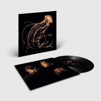 Abbildung von Back to the Water Below (Clear Vinyl)