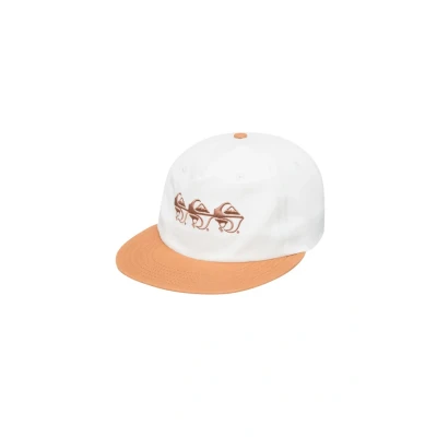 Abbildung von Quiksilver Frassnassa Cap, Größe: One Size, Cmn0