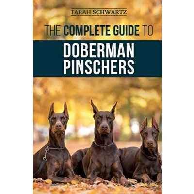 Abbildung von The Complete Guide to Doberman Pinschers: Preparing For, Raising, Training, Feeding, Socializing, and Loving Your New Puppy