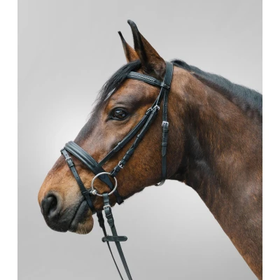 Abbildung von Star Trense Diamond Englisch Kombiniert Schwarz Warmblut
