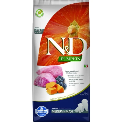 Abbildung von N&amp;D Pumpkin Puppy Lamm medium/maxi 12 kg
