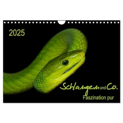 Abbildung von Schlangen und Co. Faszination pur (Wandkalender 2025 DIN A4 quer), CALVENDO Monatskalender