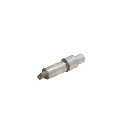 Abbildung von Element, CR Pumpe BOSCH F 01M 100 285