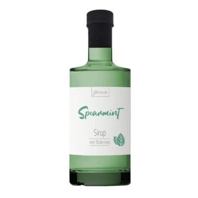 Abbildung von BIO Spearmint Sirup 350 ml Genüssle vom Bodensee
