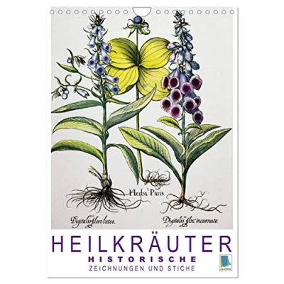 Abbildung von Heilkräuter: Historische Zeichnungen und Stiche (Wandkalender 2025 DIN A4 hoch), CALVENDO Monatskalender