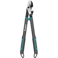Abbildung von Astschere EnergyCut Pro S