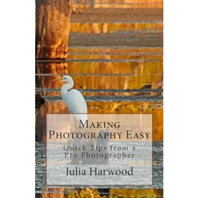 Abbildung von Making Photography Easy (Quick Tips from a Pro Photographer, Band 2)