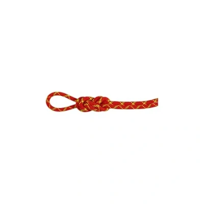 Abbildung von Mammut 8.0 Alpine Core Protect Dry Rope 60m