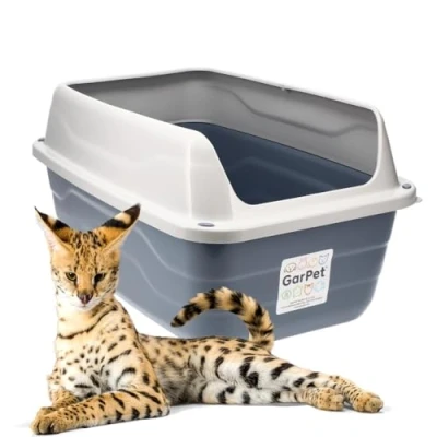 Abbildung von GarPet Katzentoilette XXL Extra hohe offene Katzenklo mit hohem Rand