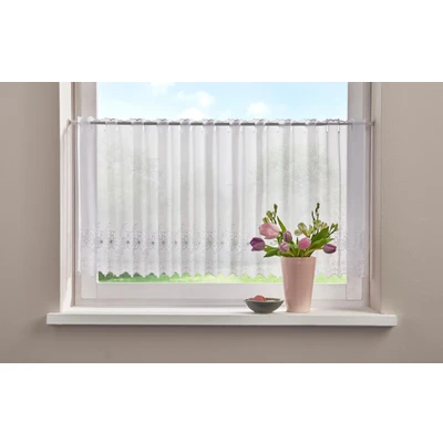 Abbildung von Home affaire Scheibengardine &quot;Sunny&quot;, (1 St.), transparent, florales Design mit Lochstickerei, Voile