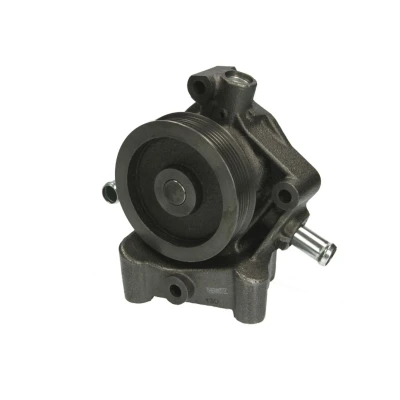 Abbildung von THERMOTEC D1P047TT Wasserpumpe 6 mit Dichtung mechanisch FIAT: Ducato III Kastenwagen, Bus, Pritsche / Fahrgestell