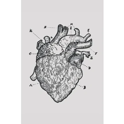 Abbildung von Notizbuch: Anatomisches Herz Notizbuch 6x9 Zoll DIN A5 120 Seiten Punktraster Realistisches Notizheft Tagebuch Herzen Schreibheft Medizin Geschenk