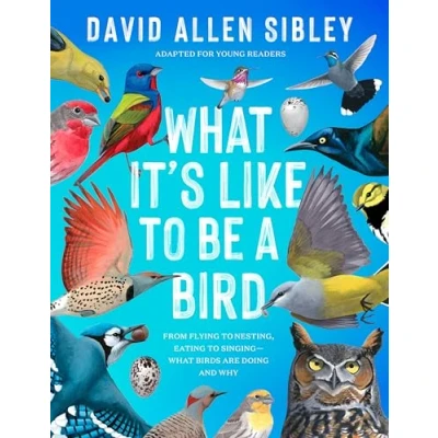 Abbildung von What it&#039;s Like to be a Bird