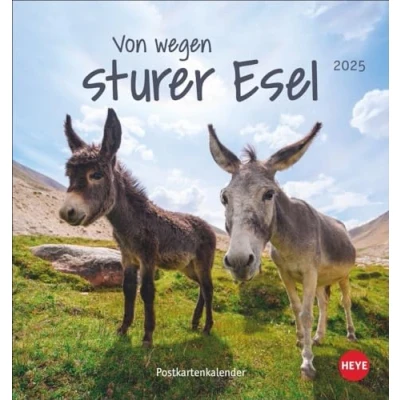 Abbildung von Esel Postkartenkalender 2025 Von wegen sturer Esel: Kleiner Kalender zum Aufstellen und Aufhängen im Postkartenformat. Monats Tischkalender für Tierfreunde. (Postkartenkalender Heye)