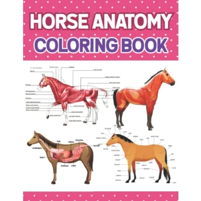 Abbildung von Horse anatomy Coloring Book: Student&#039;s Self Test &amp; Activity Book. Introduction to Veterinary and Physiology Workbook. ... younger kids for learn of Horse.
